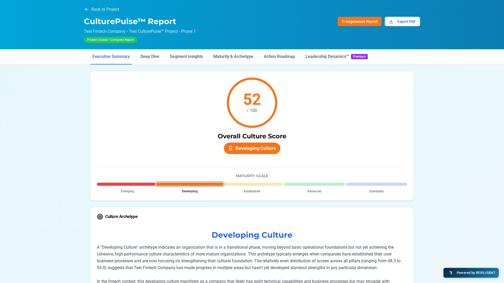 10 Culture Dimensions Across 5 Drivers example